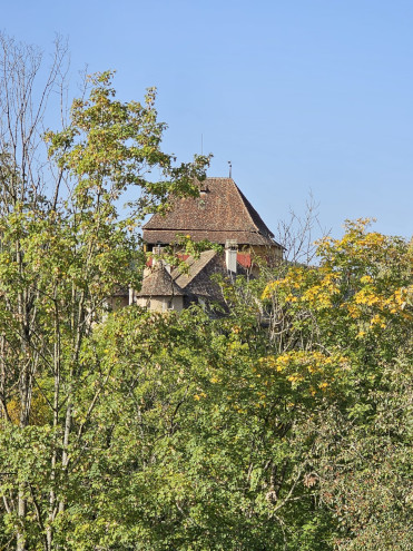Der Wohn- und Wehrturm von Schluss Wildenstein vor wolkenlosem Herbsthimmel